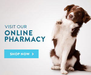 Shop our online vet pharmacy & store